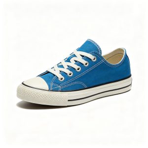 Blue Low Top Canvas Shoes