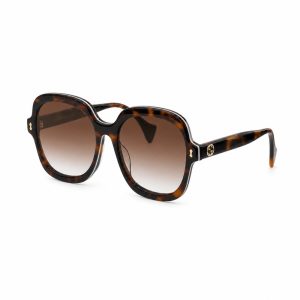 Dark Tortoiseshell Rounded Square Sunglasses