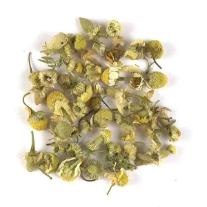 Chamomile ökologisch