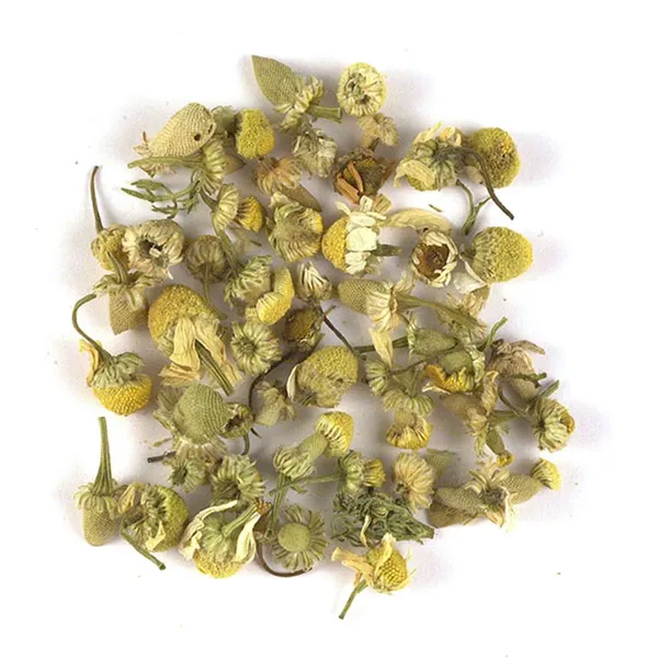 Chamomile ökologisch
