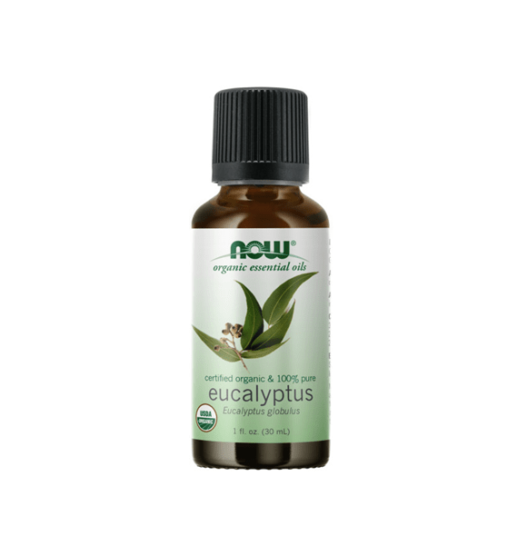Eukalyptus ätherisches Öl, Bio