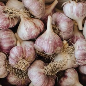 Russian Knoblauch