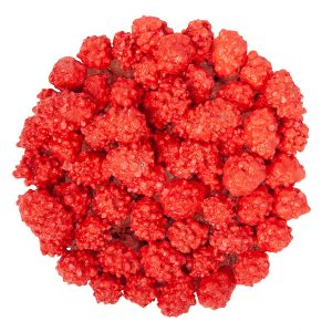 Französisch verbrannte Erdnüsse Masse 1/2 lb