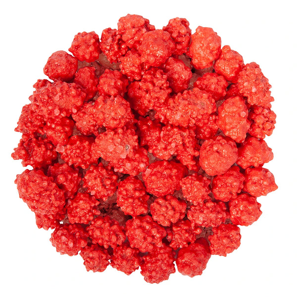 Französisch verbrannte Erdnüsse Bulk 1/2 lb