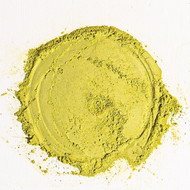 Moringa Pulver