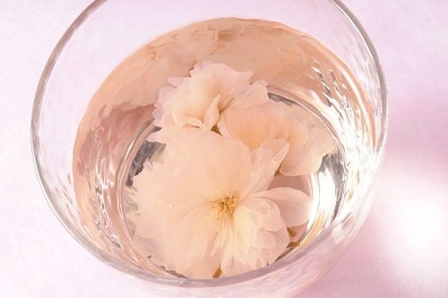 Gyokuroen “Sakura Tee” Gesalzene Sakura Blume, 40g in 1 Schachtel