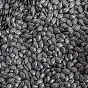 schwarze Wassermelone Samen Süßigkeiten