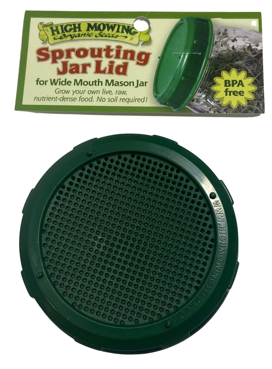 Sprouting Glas Deckel