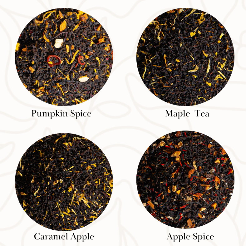 Fall Favorites Tee Sampler