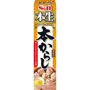 S&B Karashi Soße japanische Senf Paste Rohr – 43g