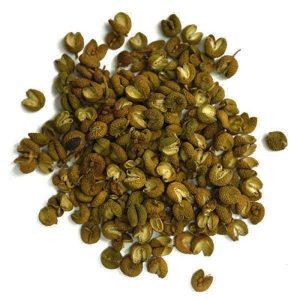 Japanese Sansho Pfeffer (Zanthoxylum-Piperitum)