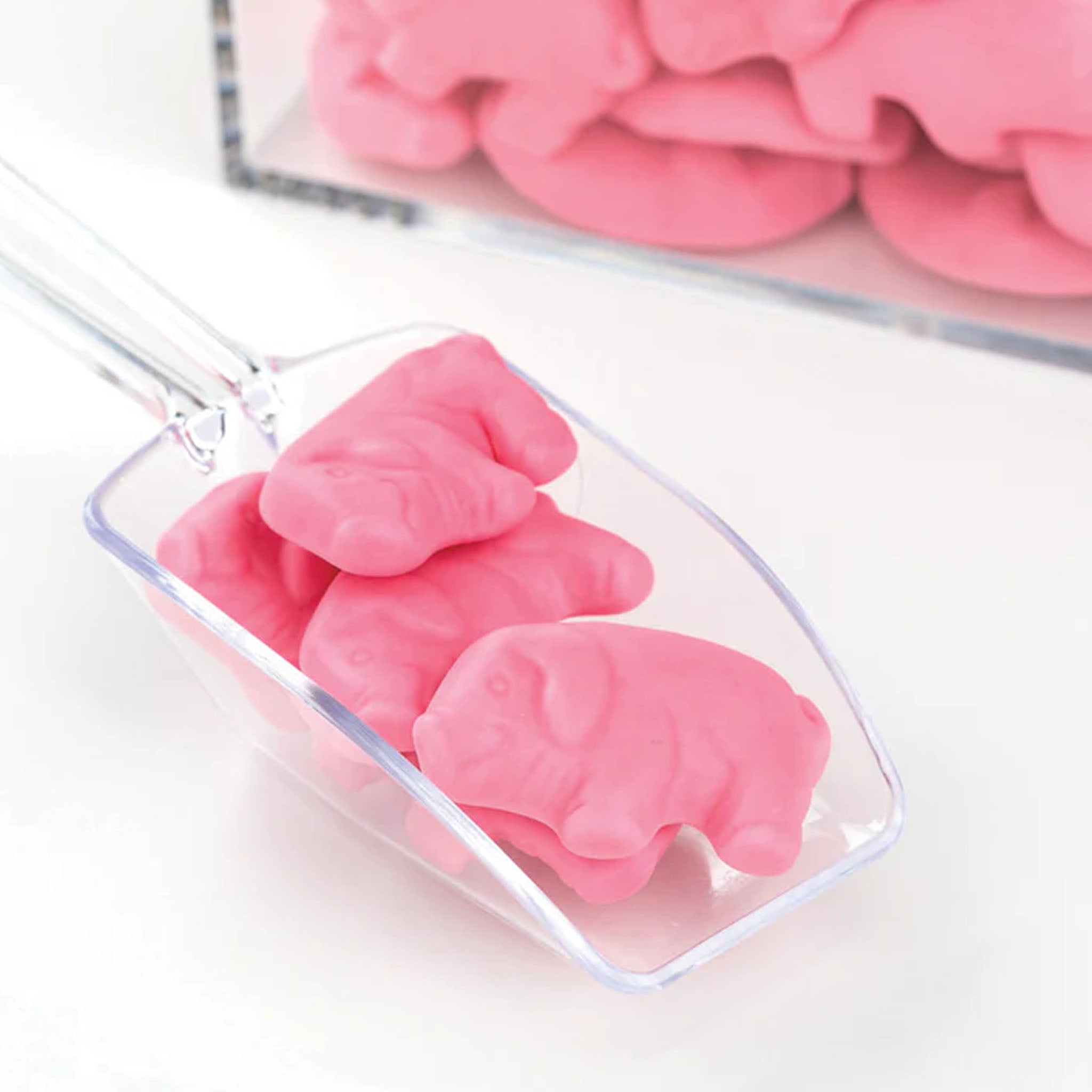 Rosa Gummi Schweinchen