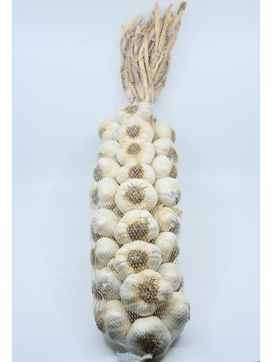 2 Fuß Gilroy Knoblauch Braid BEST DEAL! 4,5 bis 5 Pfund