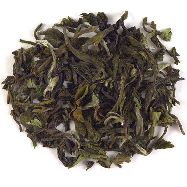 Saison Pick erste Flush Darjeeling Mischung