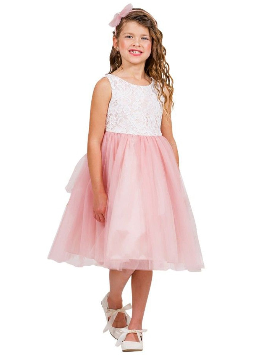 Kleine Mädchen Dusty Rose Spitze Tüll ärmelloses Ostern Kleid 2-6