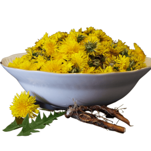 Dandelion Root, Bio, geschnitten, gesiebt