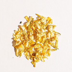 Jasminblüten und Blütenblätter