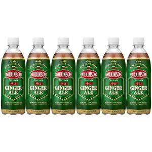 Asahi Wilkinson trockenes Ingwer Ale (Packung mit 6 Flaschen) – 500ml