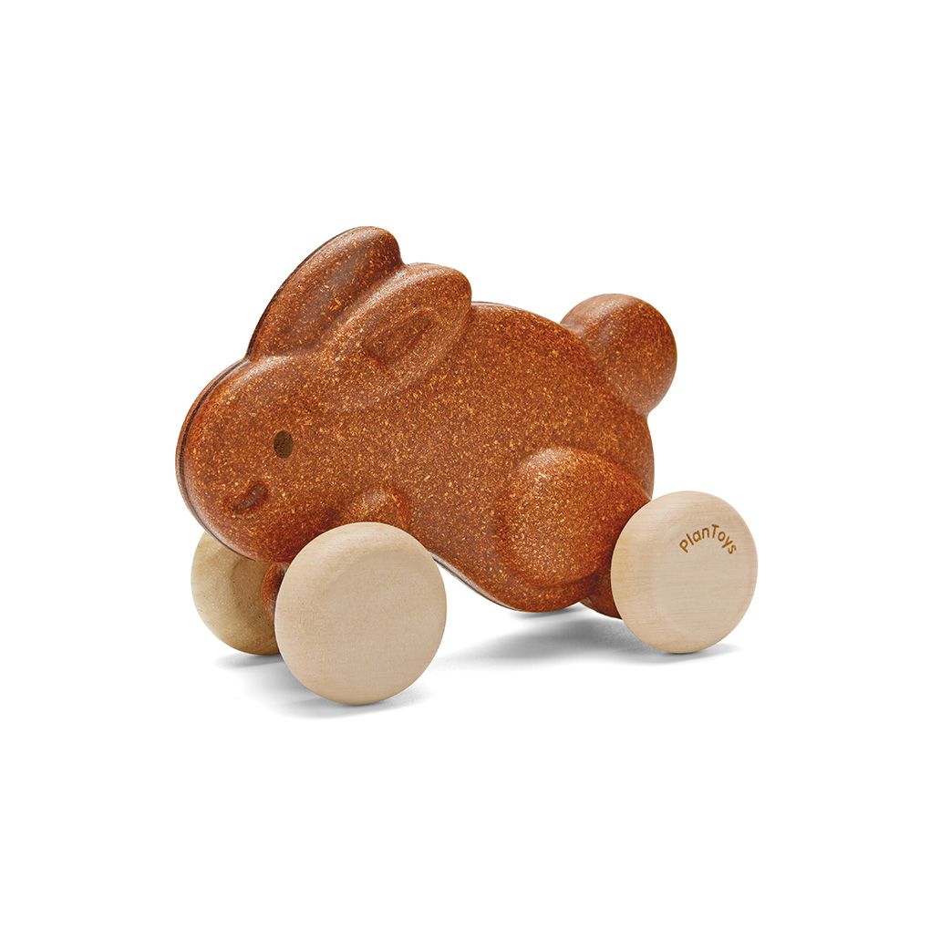 Push Along Bunny – Braun