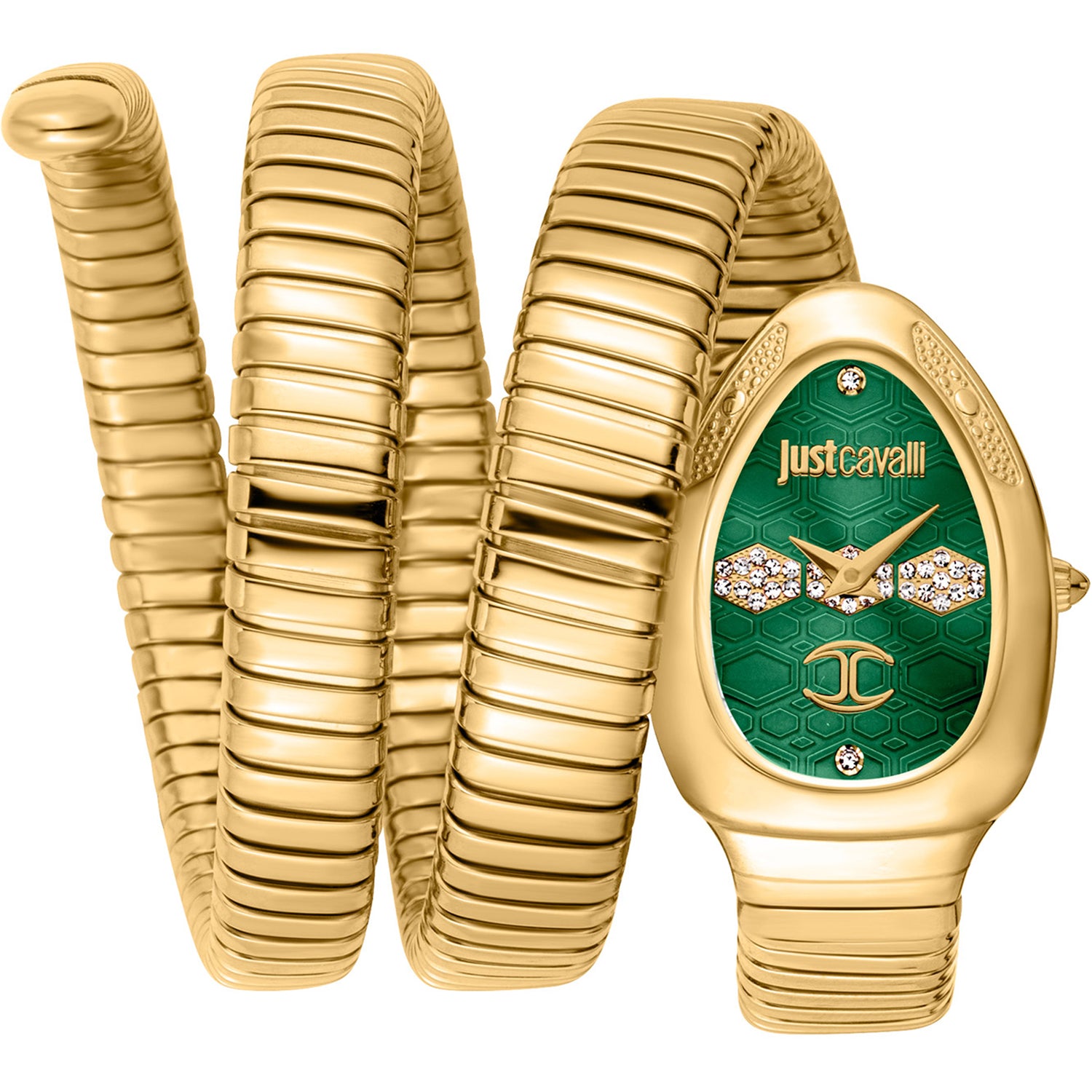 Just Cavalli Damen Cosenza Grün Dial Uhr