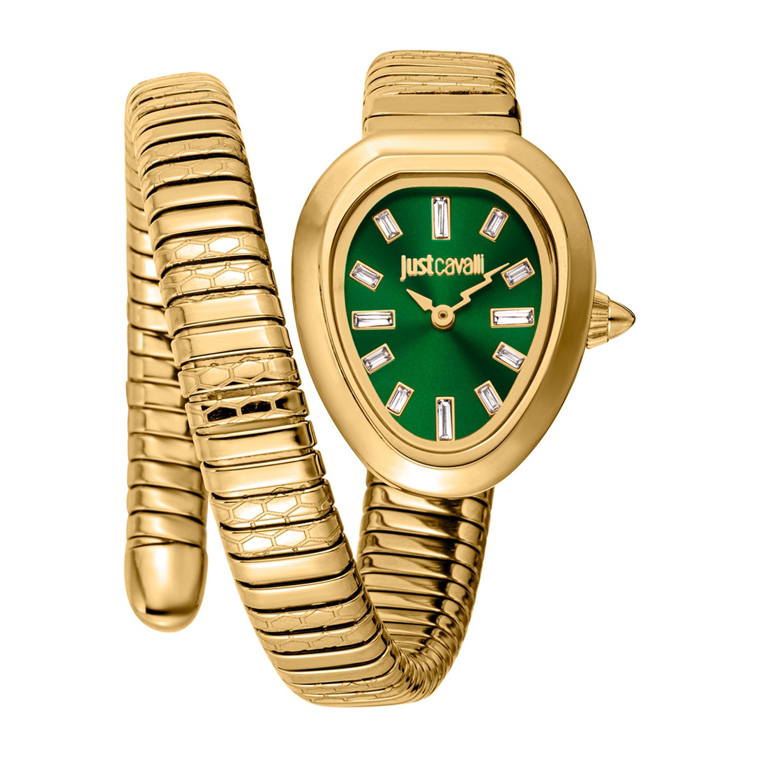 Just Cavalli Damen Aversa Grün Dial Uhr