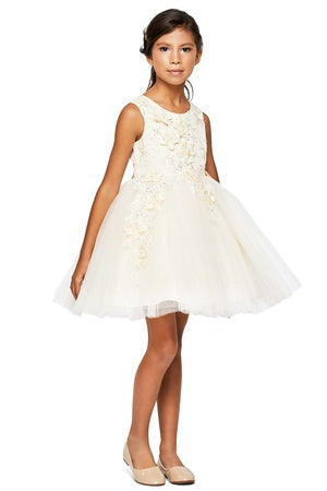 Große Mädchen Champagne 3D mit Blumenmuster Applikationen Weiche Tüll Blumenmädchen Kleid 8-12