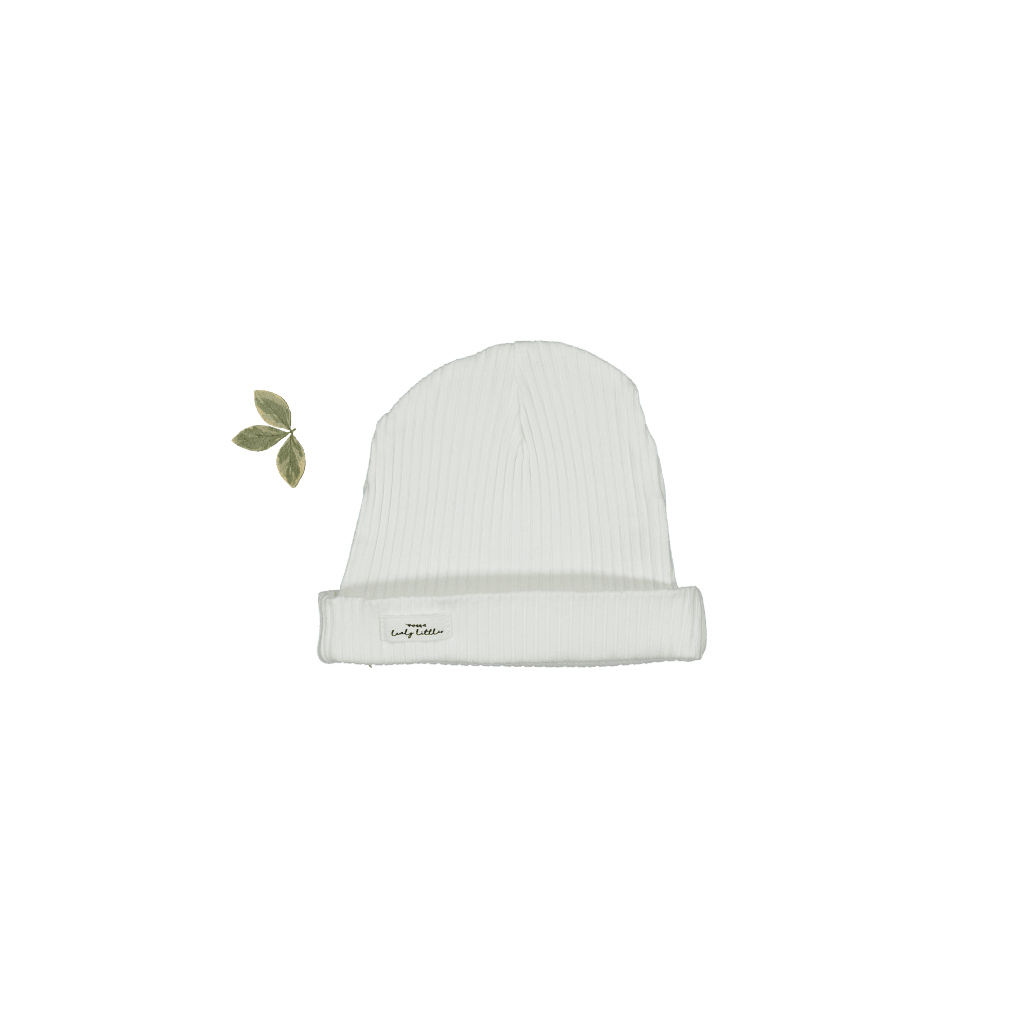 Der Hut – Bone
