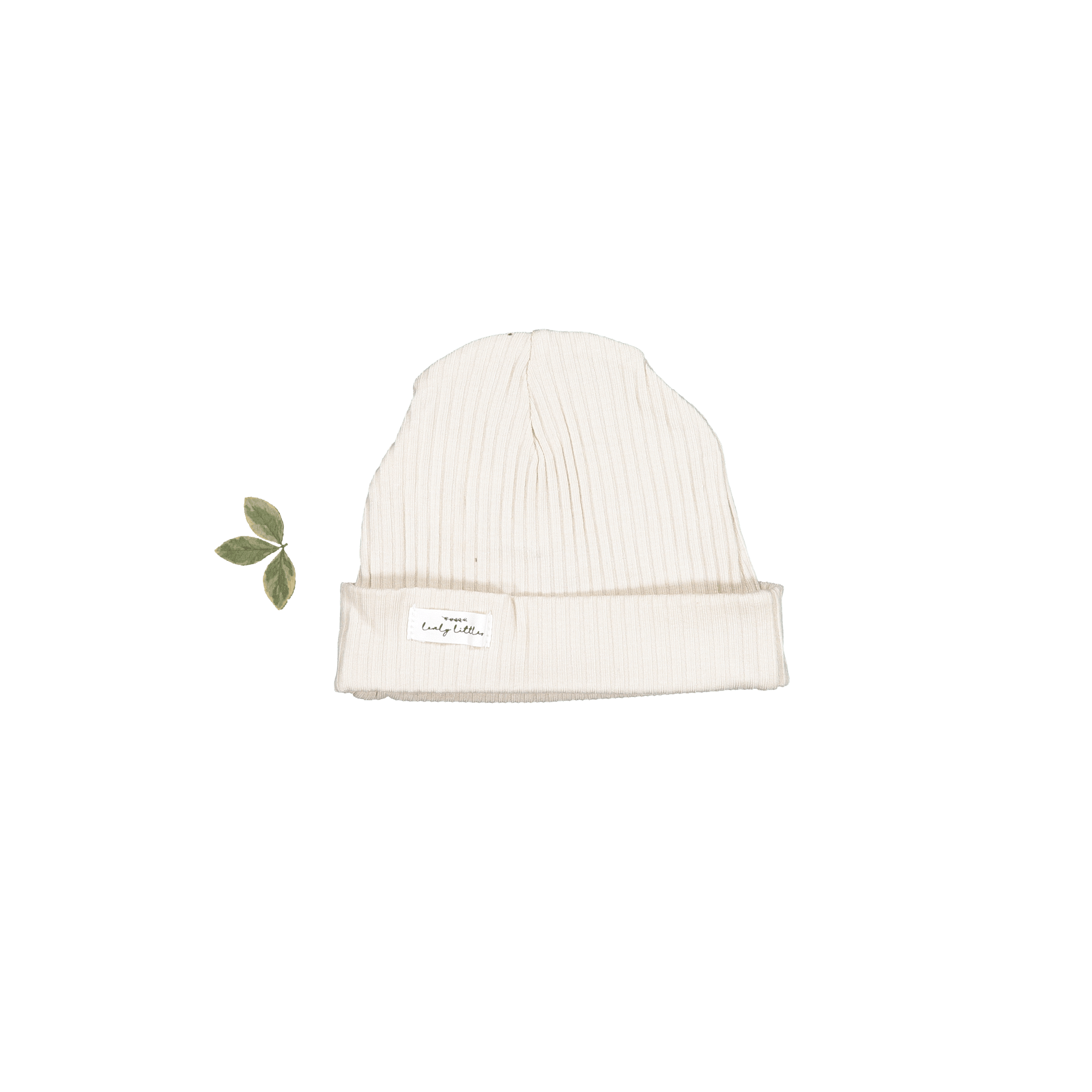 Der Hut – Creme