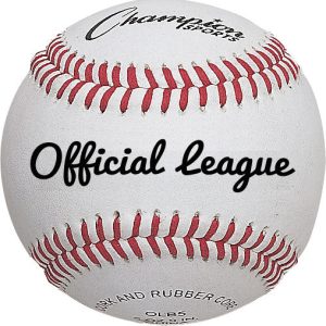 Champion Sports Offizieller Liga-Baseball – Dutzend