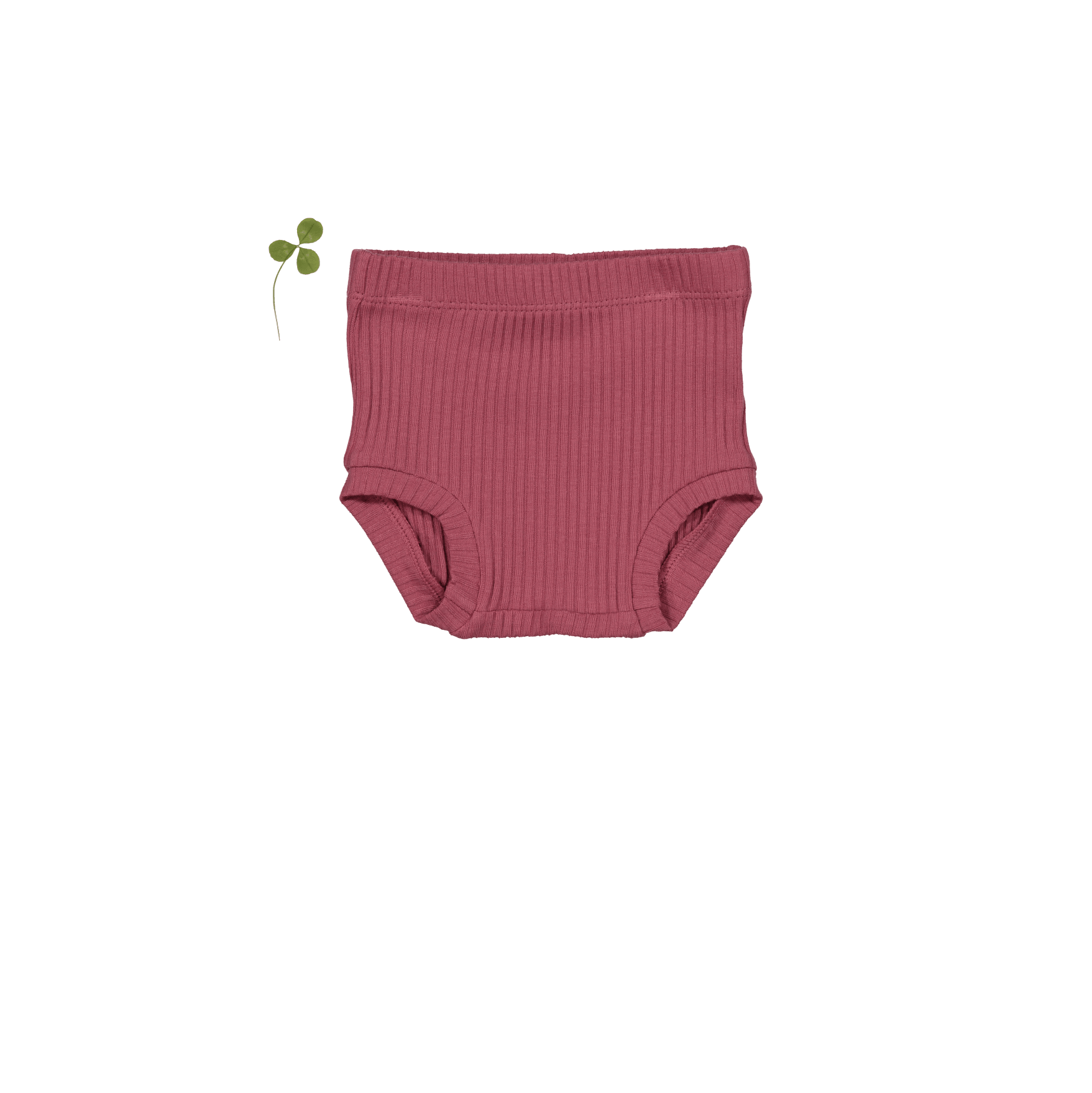 Der Bloomer – Himbeere
