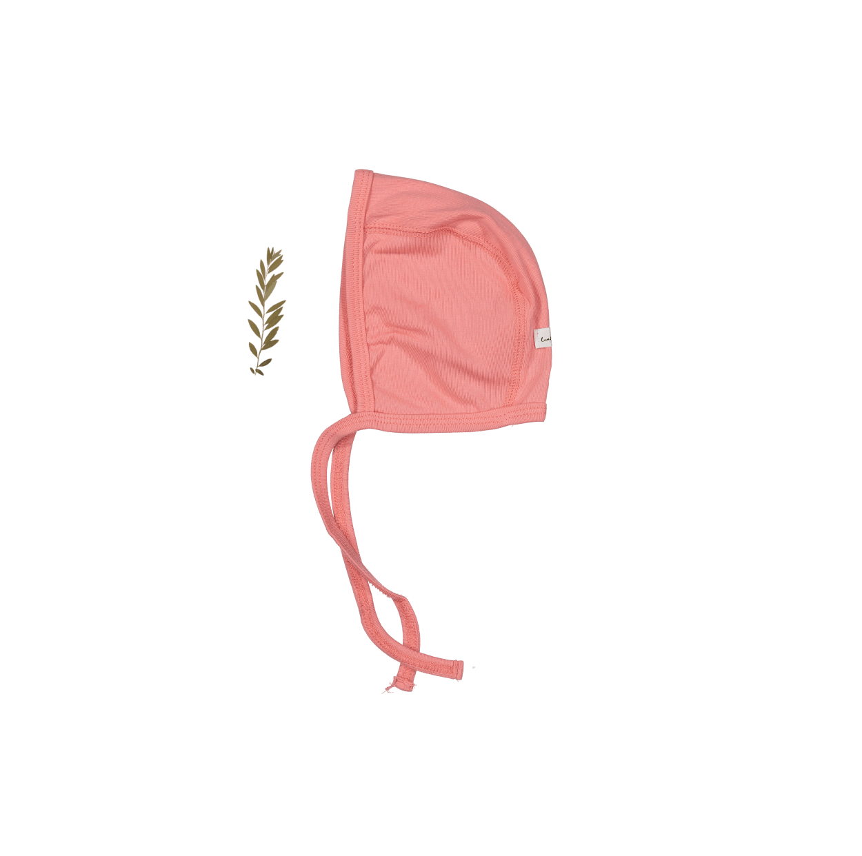 Die Bonnet – Koralle