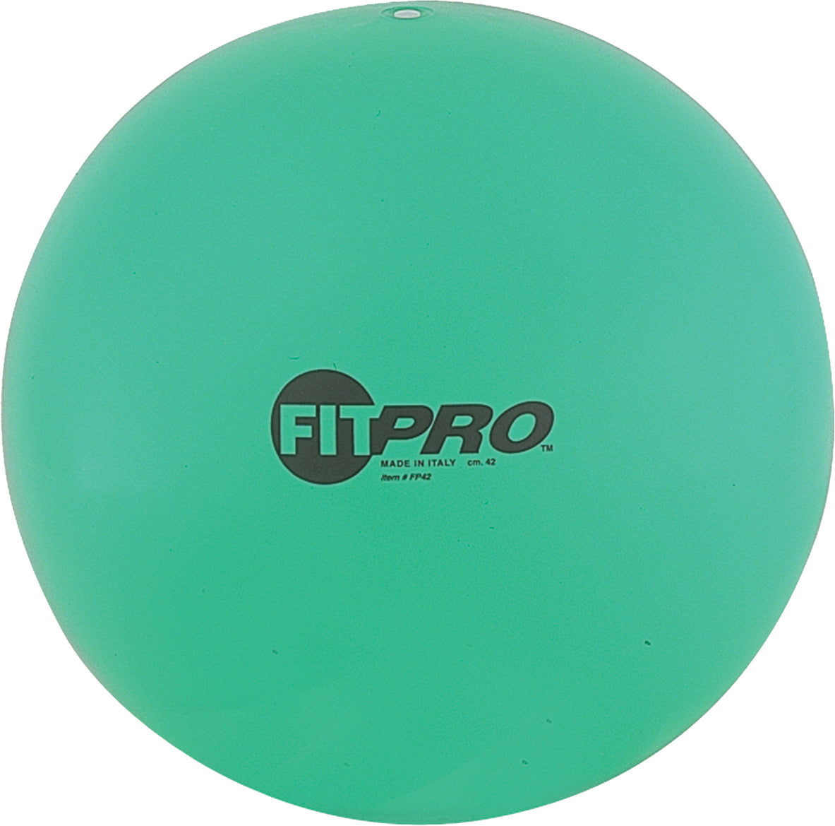 Champion Sports Fitpro Training/Übungsball