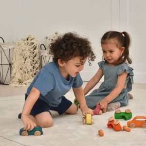 Holz Auto Spielzeug Set – 10 Stück Set