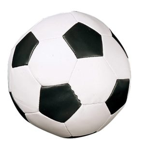 Champion Sports Soft Sport Fußball