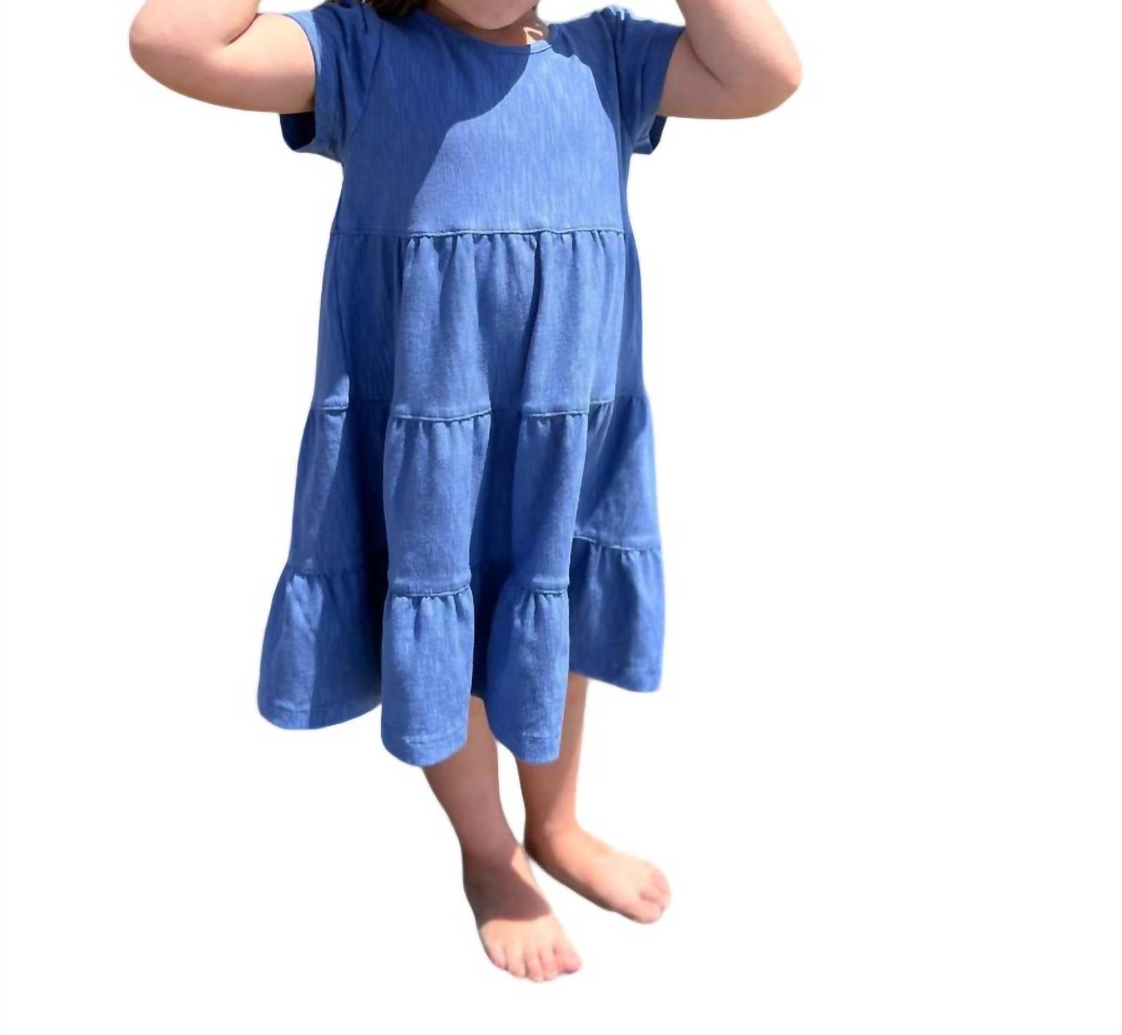 Iona Rüschen Kleid in Blau