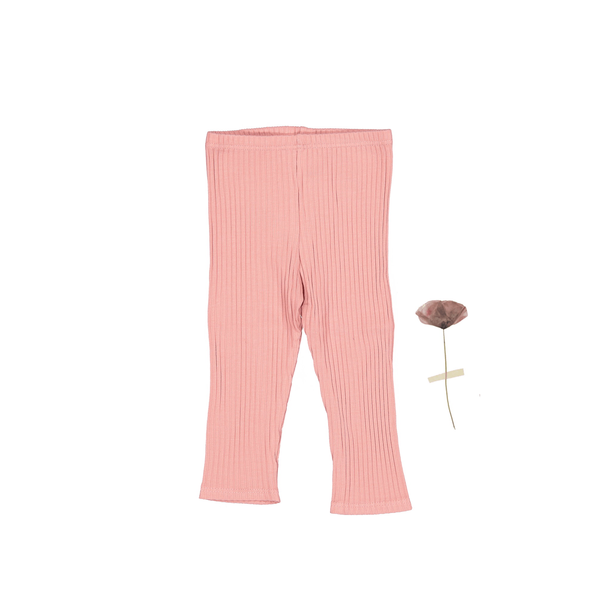 Die Legging – Rose