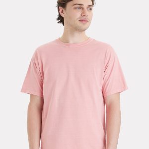 Hanes Herren t- Hemd botanische gefärbt