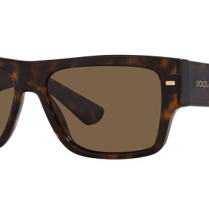 Dolce & Gabbana Herren 55mm Havana Sonnenbrille