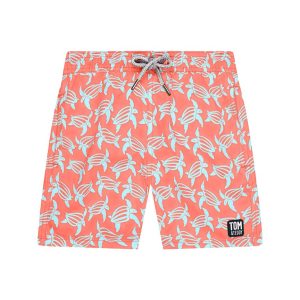 Tom & Teddy Turtle Swim kurz