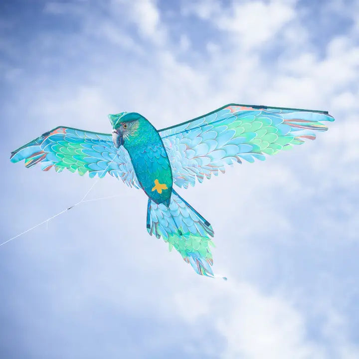 Im Breeze 3D Blau Parrot Kite