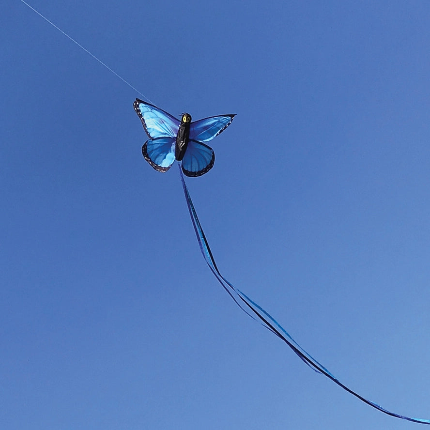 In der Breeze Blau Morpho Schmetterling Kite