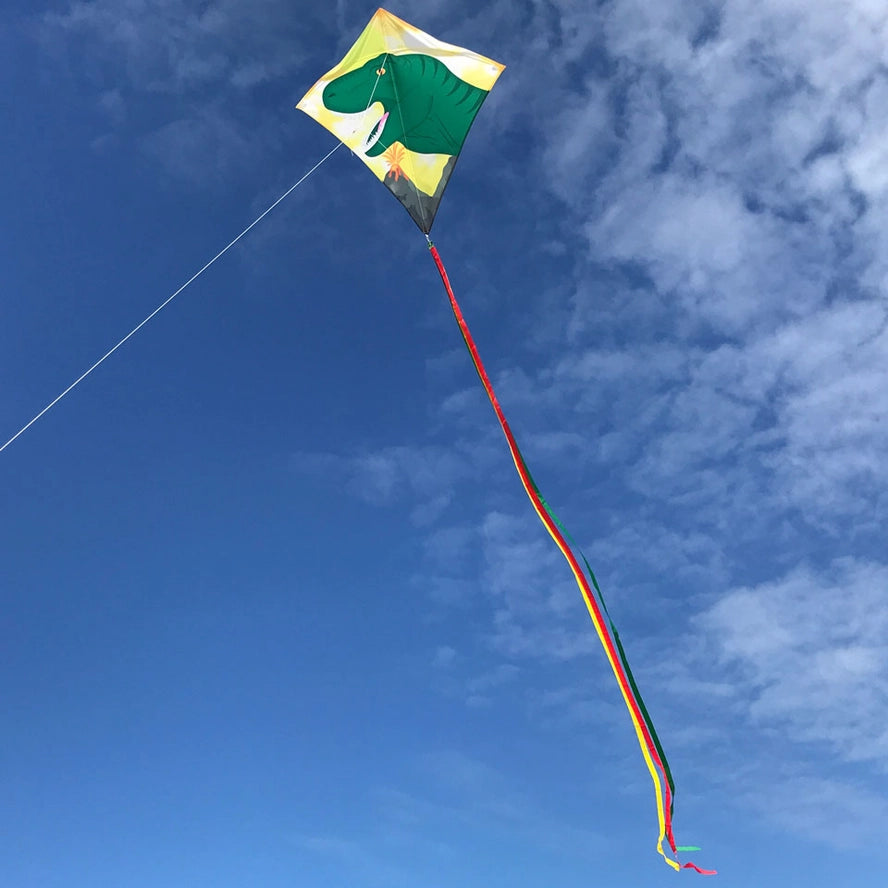 Im Breeze Dinosaur 30′′ Diamant Kite