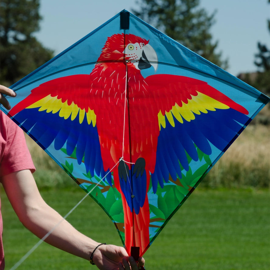 Im Breeze Parrot 30′′ Diamant Kite