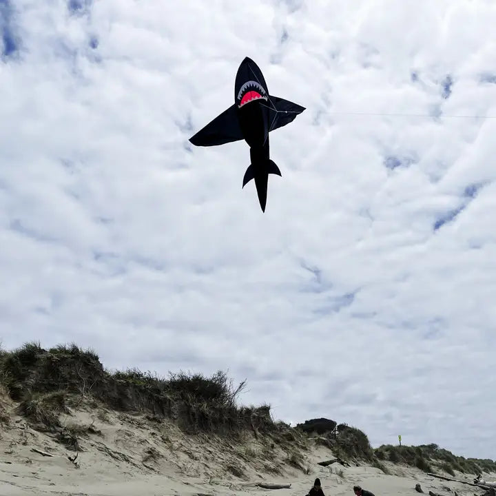 In der Breeze 5' 3D Schwarz Shark