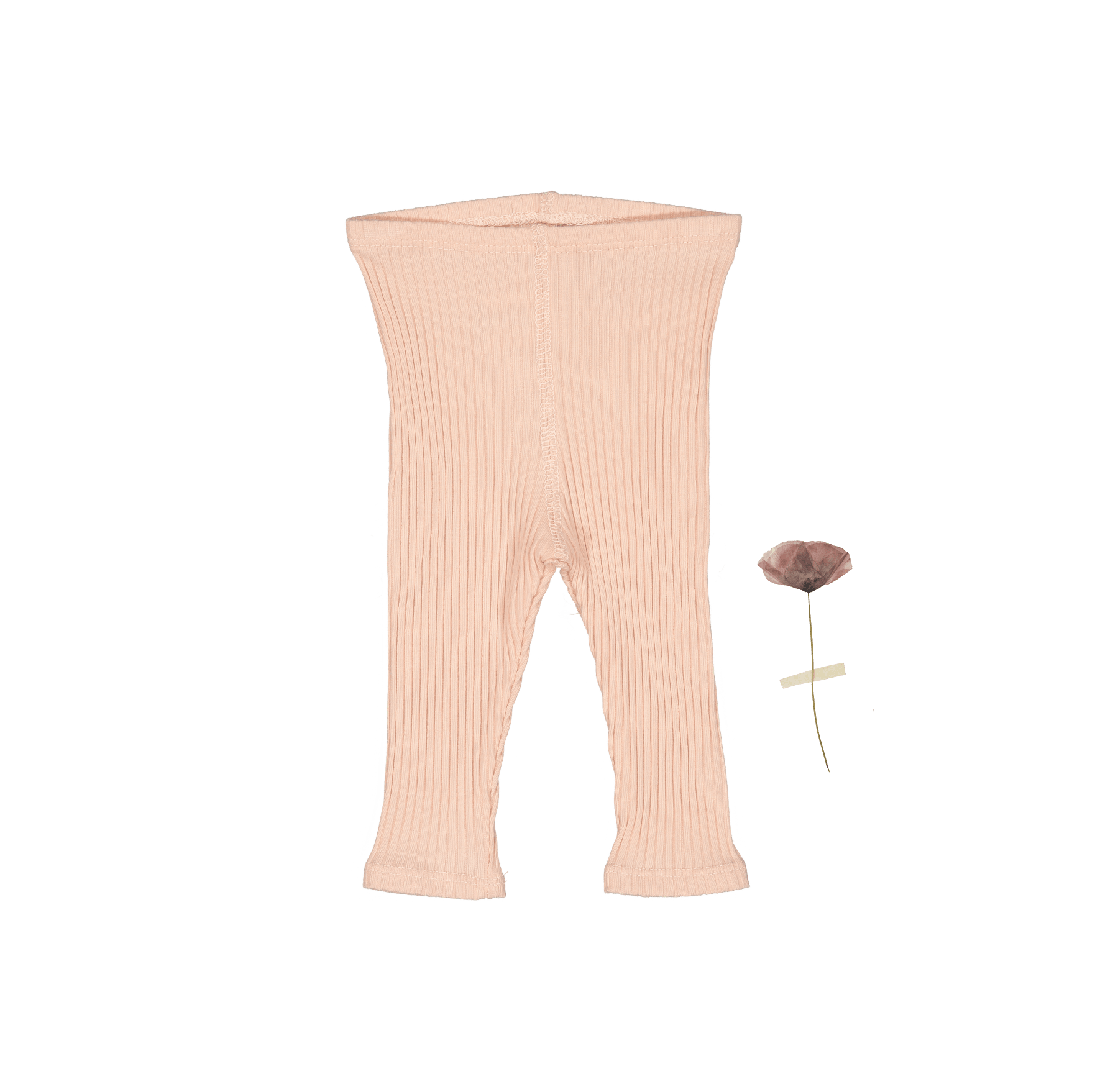Die Legging – Pulver