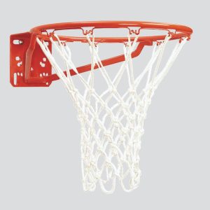Bison Vorderseite Mount Basketball Super Goal