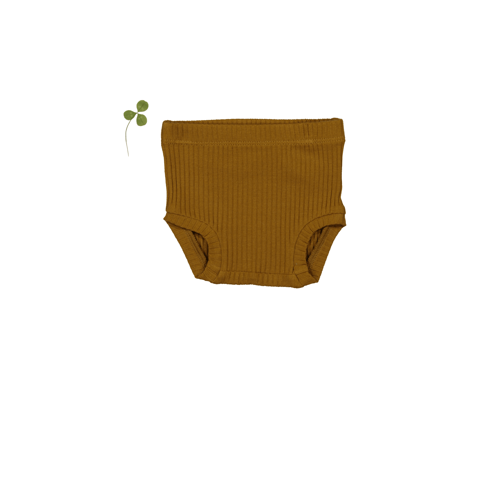 Der Bloomer – Cider