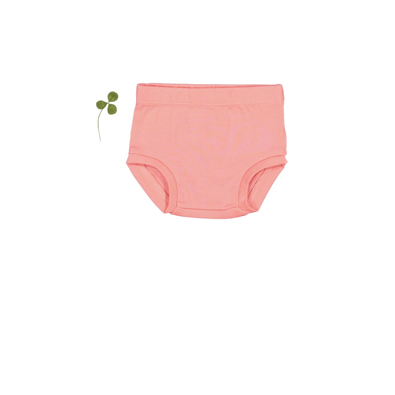 Der Bloomer – Koralle