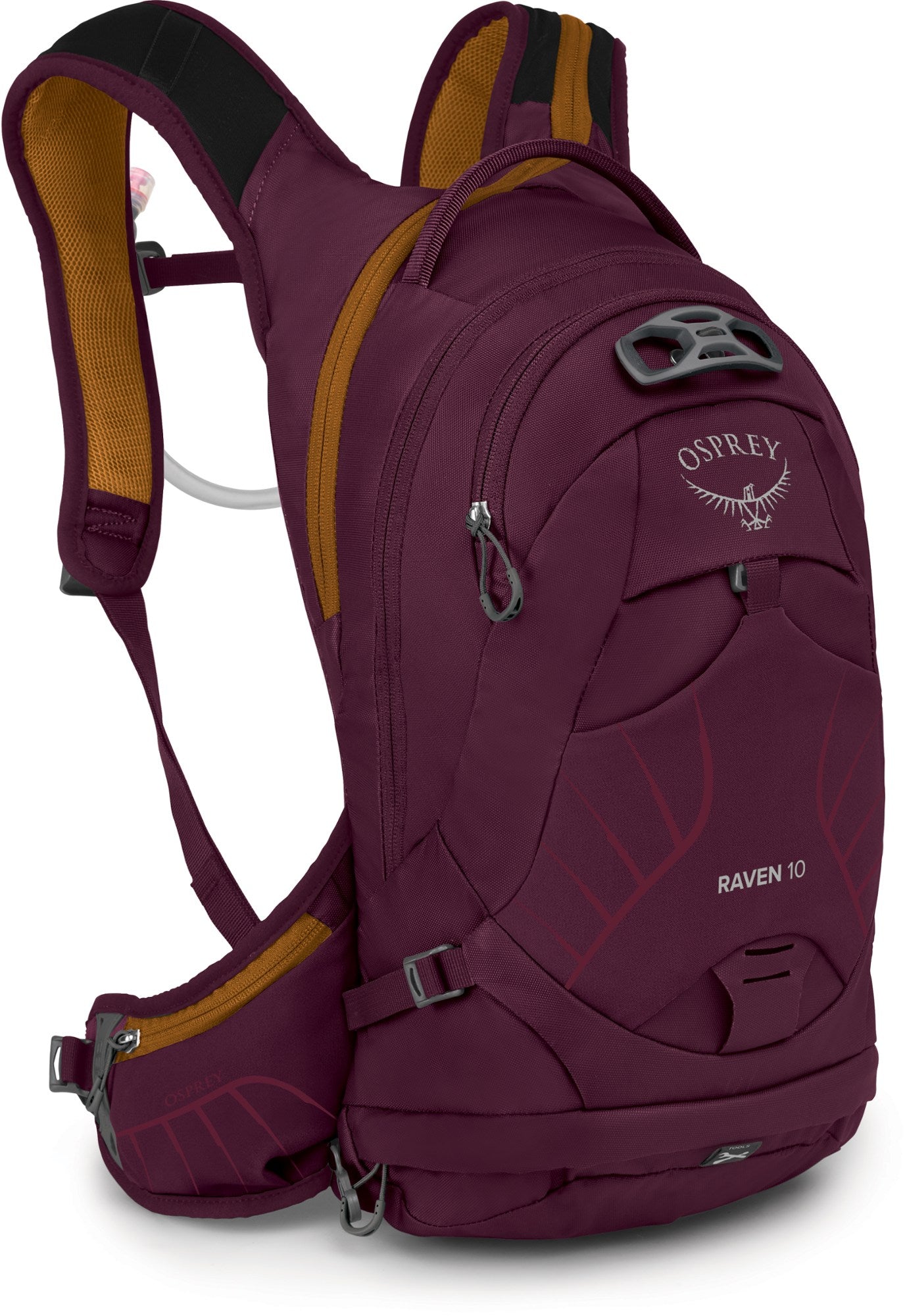 Raven 10