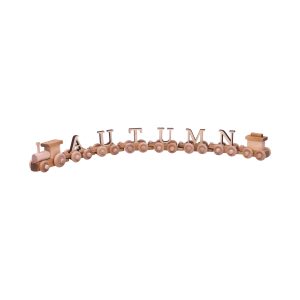Namenszug-Spielzeug aus Holz, personalisierter ABC-Buchstabenzug, von Amish hergestellt